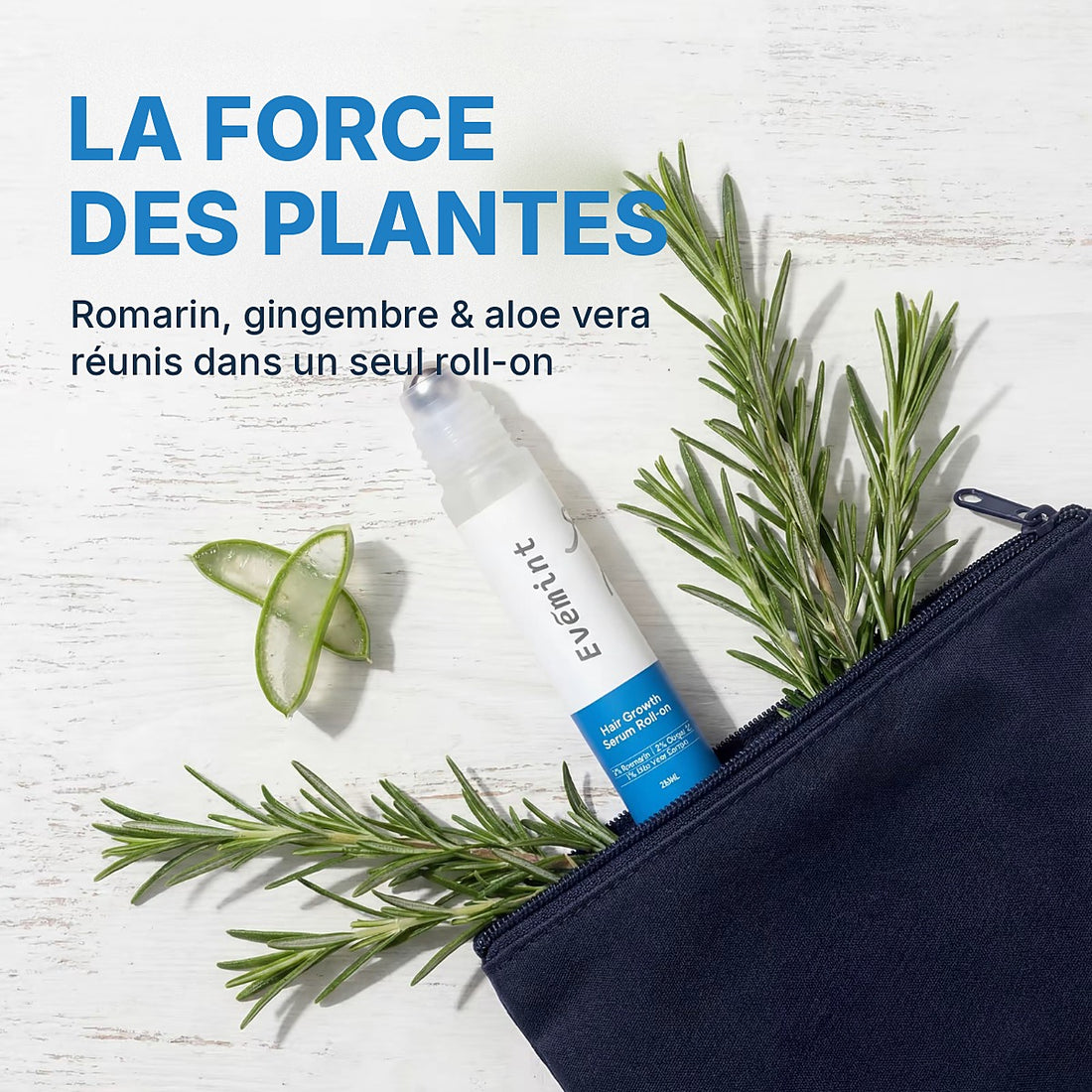 La force des plantes : romarin, gingembre et aloe vera