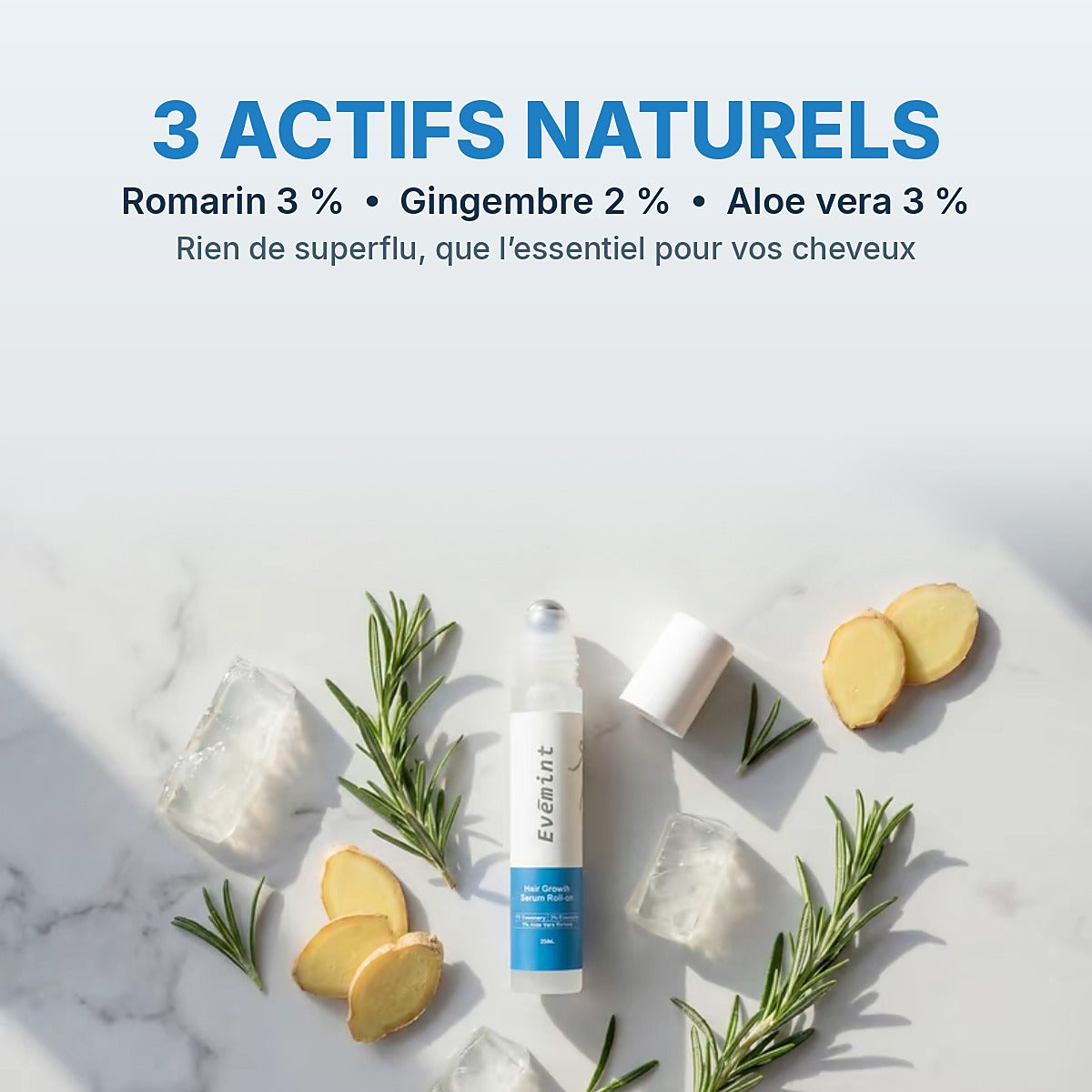 Les trois actifs du sérum Evēmint : romarin, gingembre et aloe vera